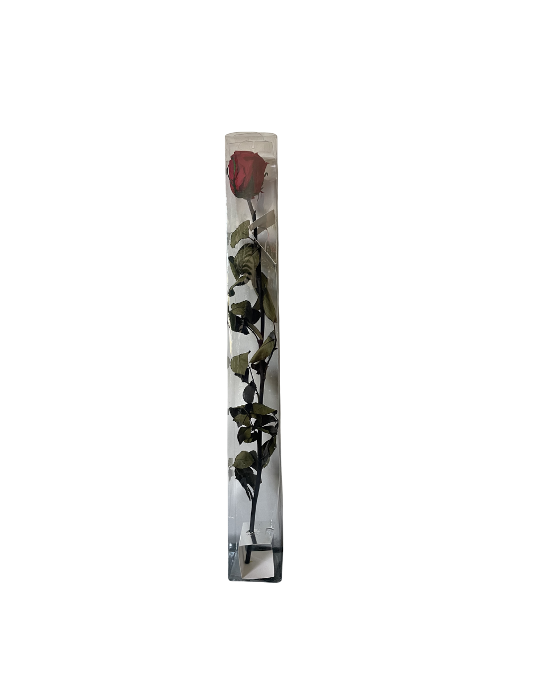Single preserved rose gift